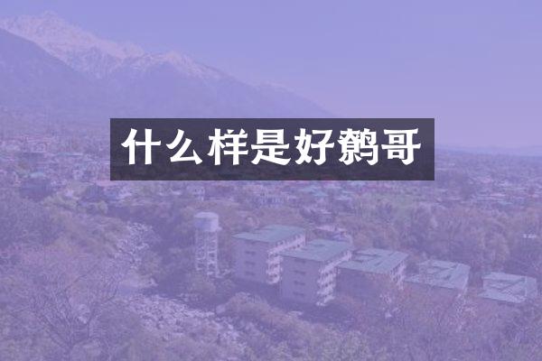 什么样是好鹩哥