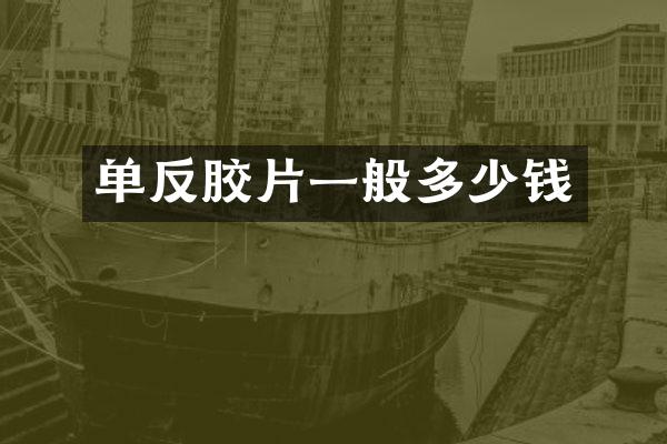 单反胶片一般多少钱