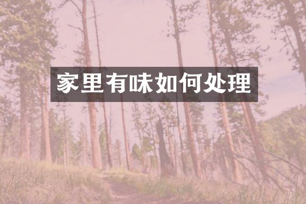 家里有味如何处理