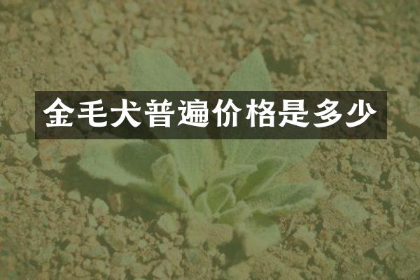 金毛犬普遍价格是多少