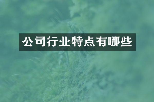 公司行业特点有哪些