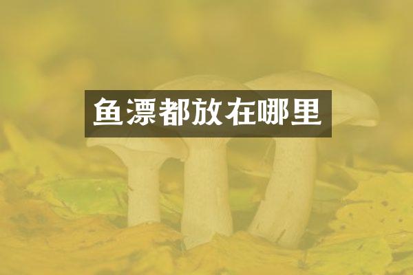 鱼漂都放在哪里