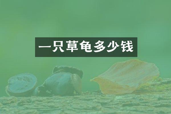 一只草龟多少钱