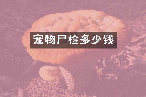 宠物尸检多少钱