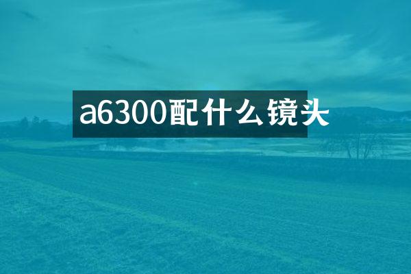 a6300配什么镜头