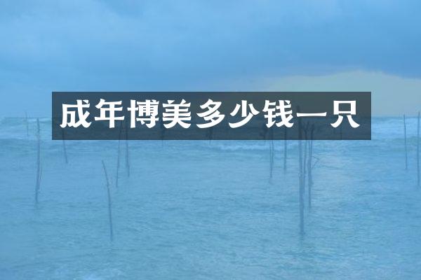 成年博美多少钱一只