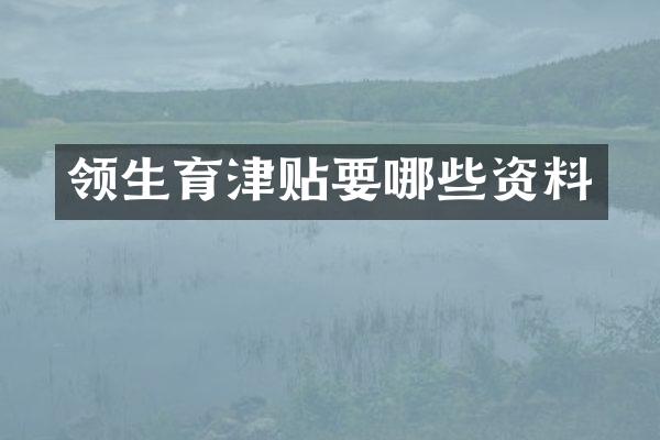 领生育津贴要哪些资料