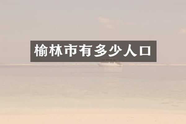 榆林市有多少人口