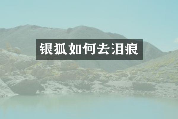 银狐如何去泪痕