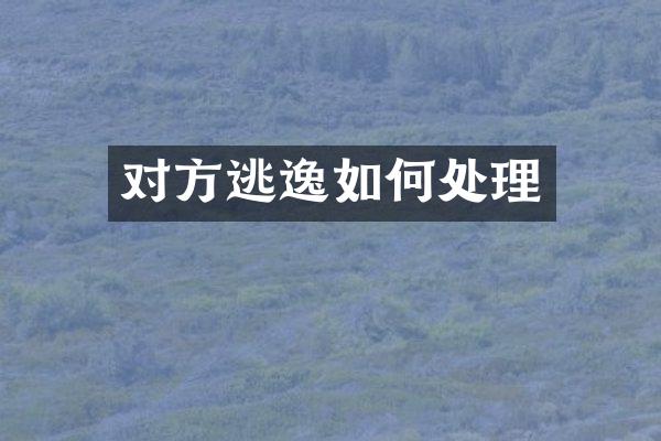 对方逃逸如何处理