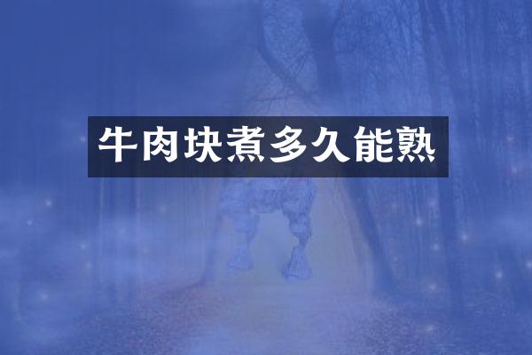 牛肉块煮多久能熟