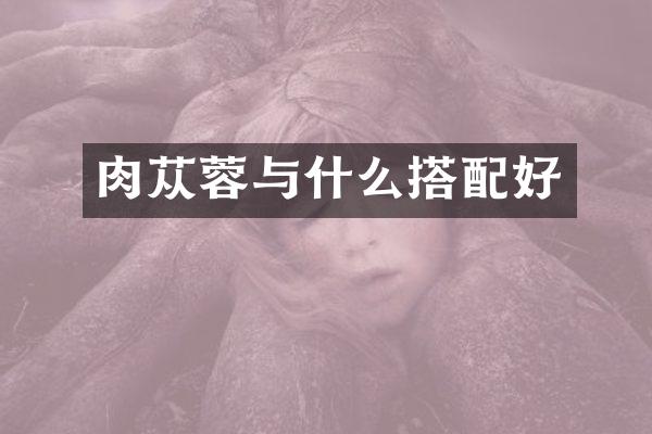 肉苁蓉与什么搭配好