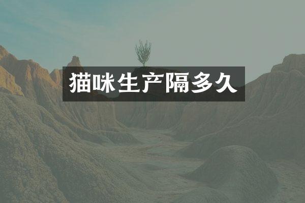 猫咪生产隔多久