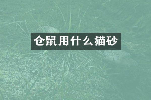 仓鼠用什么猫砂