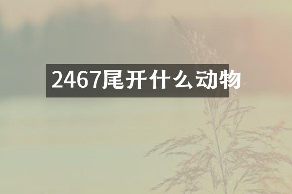 2467尾开什么动物