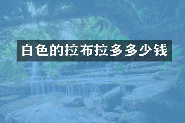 白色的拉布拉多多少钱