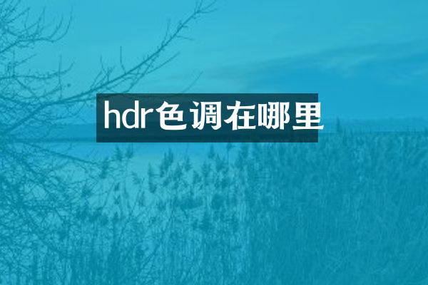 hdr色调在哪里