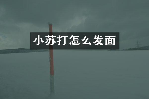 小苏打怎么发面
