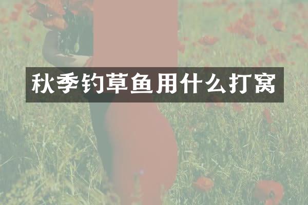 秋季钓草鱼用什么打窝