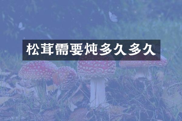 松茸需要炖多久多久