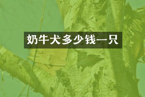 奶牛犬多少钱一只