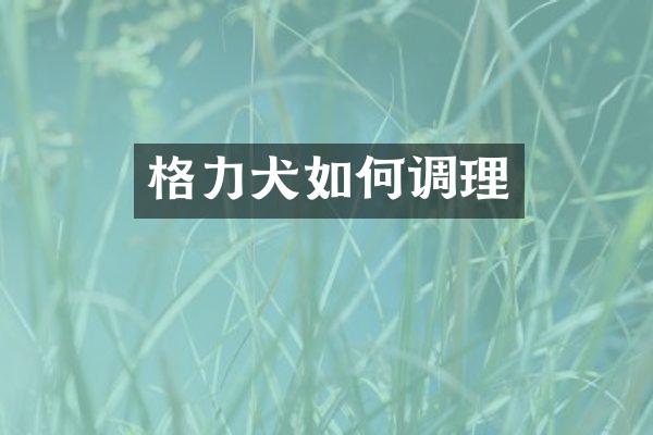 格力犬如何调理