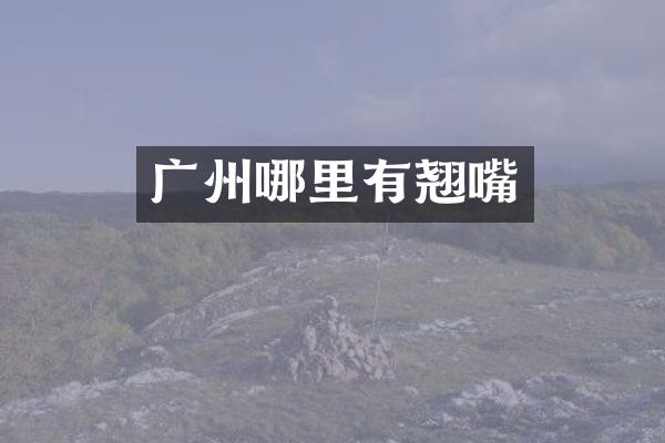 广州哪里有翘嘴