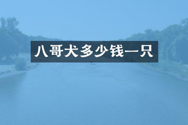 八哥犬多少钱一只