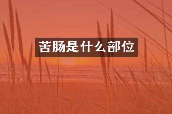 苦肠是什么部位