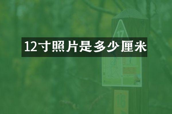 12寸照片是多少厘米