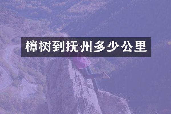 樟树到抚州多少公里