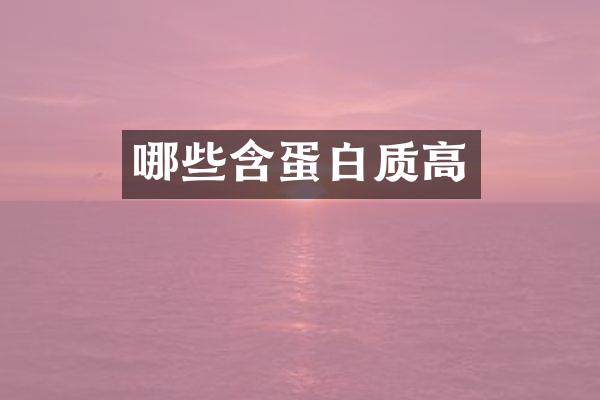 哪些含蛋白质高