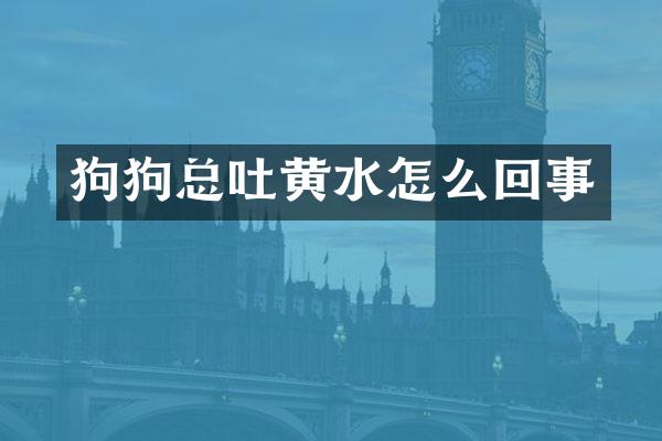狗狗总吐黄水怎么回事