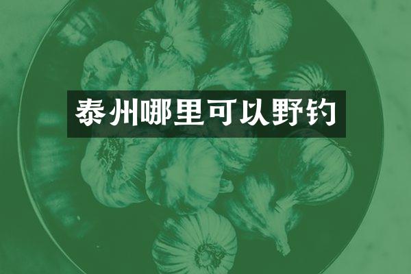 泰州哪里可以野钓