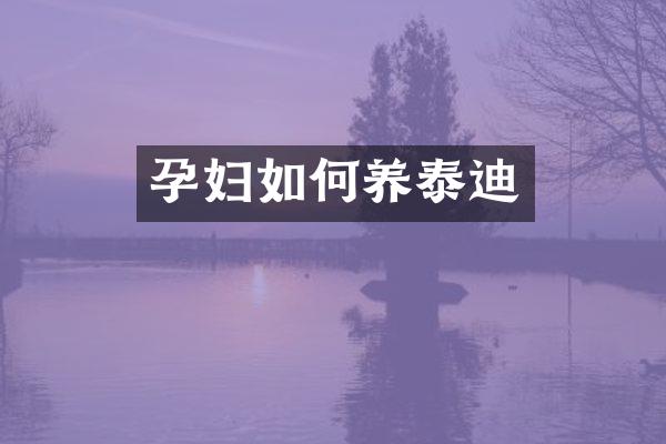 孕妇如何养泰迪