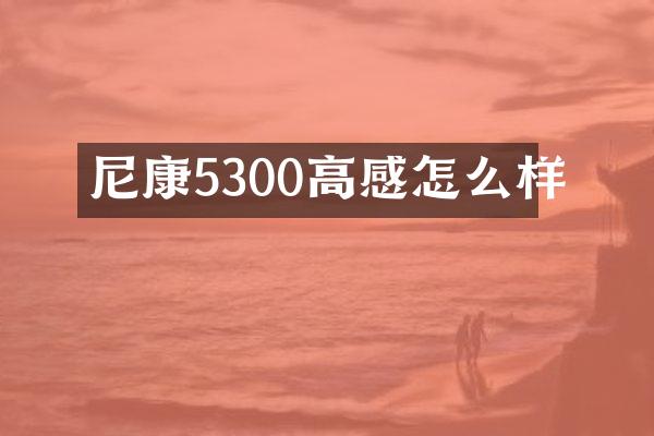 尼康5300高感怎么样