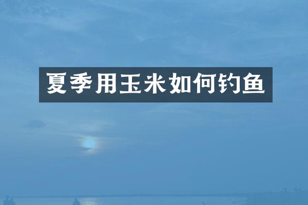 夏季用玉米如何钓鱼