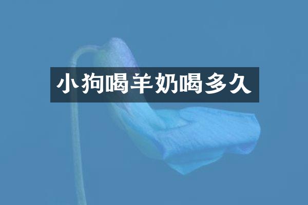 小狗喝羊奶喝多久