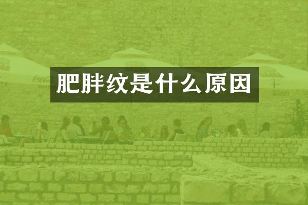 肥胖纹是什么原因