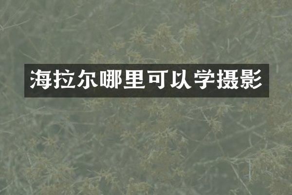 海拉尔哪里可以学摄影