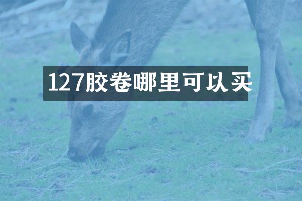 127胶卷哪里可以买