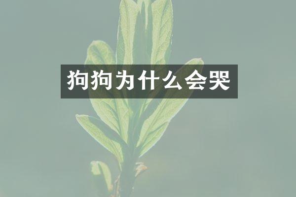 狗狗为什么会哭