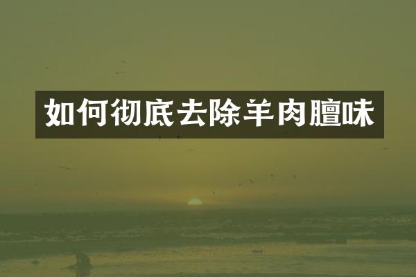 如何彻底去除羊肉膻味