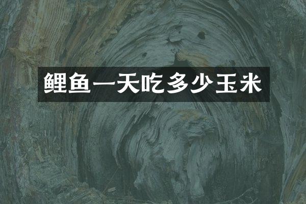 鲤鱼一天吃多少玉米