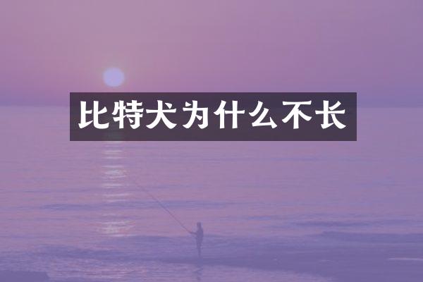 比特犬为什么不长