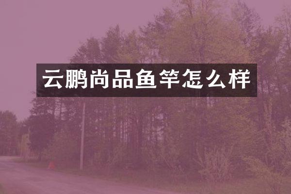云鹏尚品鱼竿怎么样