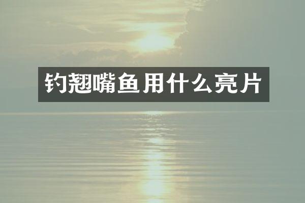 钓翘嘴鱼用什么亮片