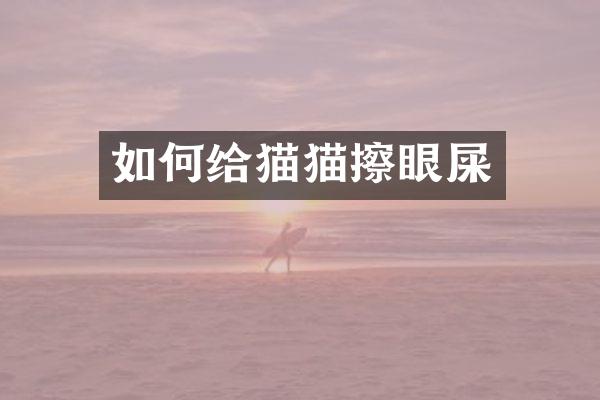 如何给猫猫擦眼屎