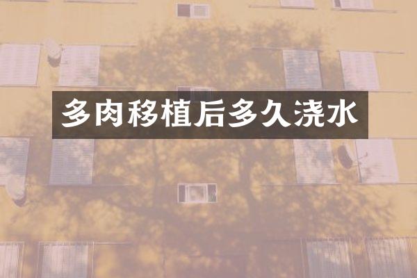 多肉移植后多久浇水