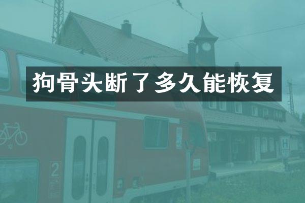 狗骨头断了多久能恢复